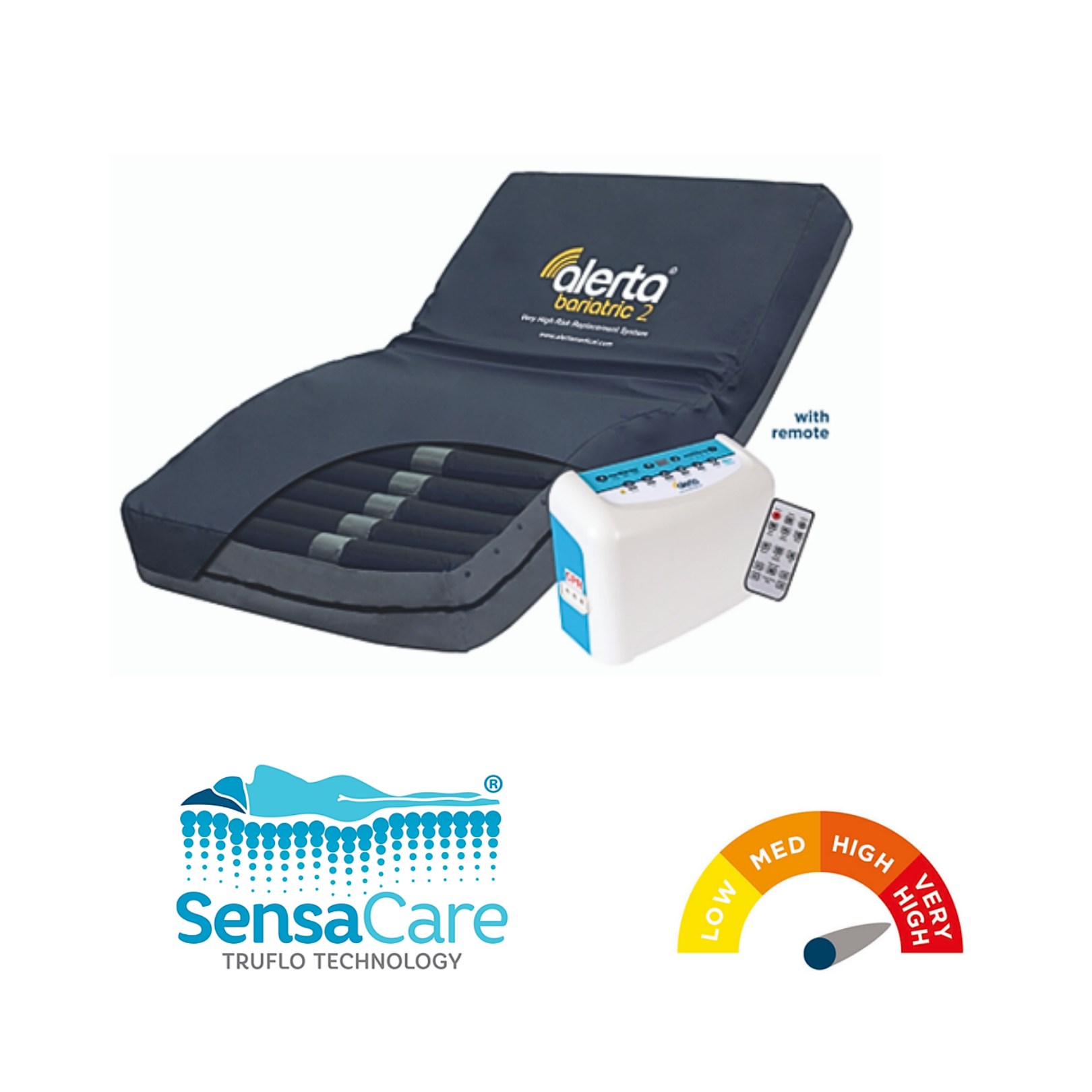 Alerta Bariatric 2 (Alt-9300)