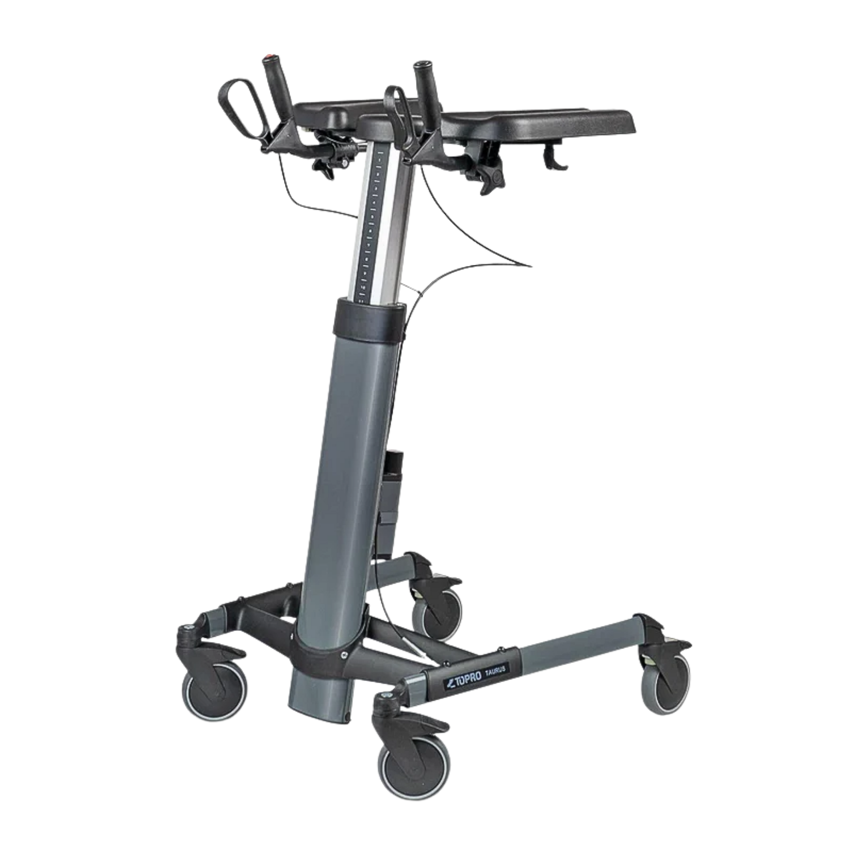 Taurus Basic Upright Walker